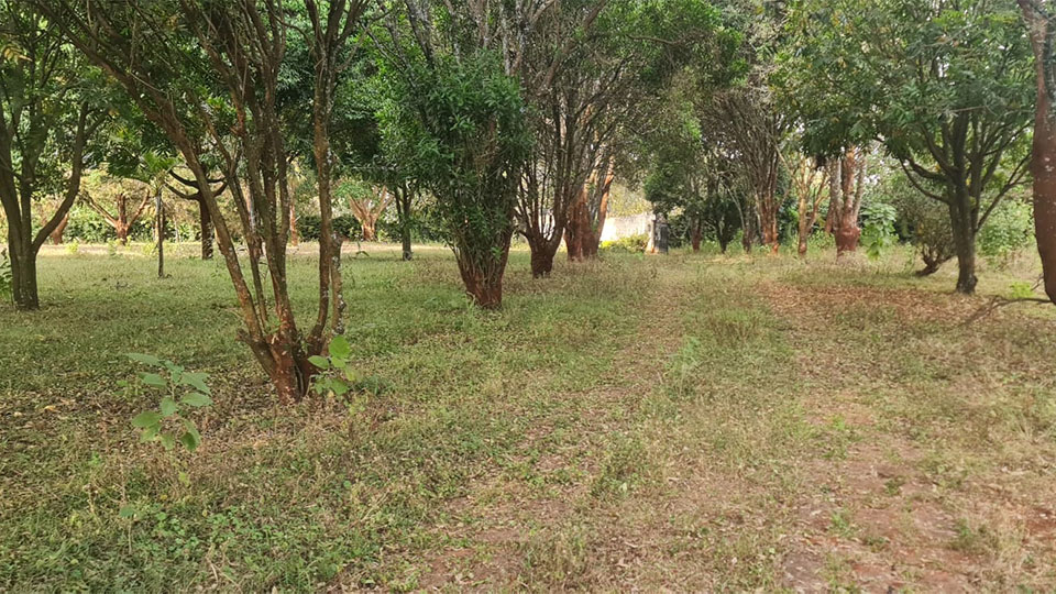 5-Acre-_Karamaini-Estate