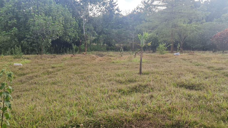 Prime-5-Acre-Property_Karamaini_Estate